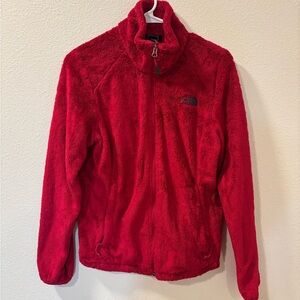 The North Face Electric Pink Fleece Jacket